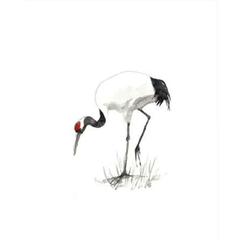 Japanese Cranes Ii Canaleta 60x80cm Preta