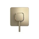 Ver imagem 2 de Acabamento Monocomando para Chuveiro Deca You 4993.SM105.CHU.MT Quadrado Summer Gold