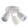 Spot Led Direct Mr16 Base Circular 3x4w 3000k - 1