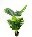 Ver imagem 7 de Planta Artificial Costela de Adão Toque Real com 1.20m