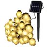 Grinalda Cordão Luzes Solares Rosas Dourada Jardim 20 Leds - 1