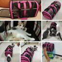 Ver imagem 2 de Bolsa Transporte Gato Cachorro Pet Animais Estimaçao Coelho Bichos Passeio Viagem Carro Aviao Mala P