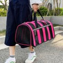 Ver imagem 7 de Bolsa Transporte Gato Cachorro Pet Animais Estimaçao Coelho Bichos Passeio Viagem Carro Aviao Mala P