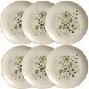 Ver imagem 1 de Kit 6 Pratos de Sobremesa Ammi Orgânico Cerâmica 19,5cm Floral Porto Brasil