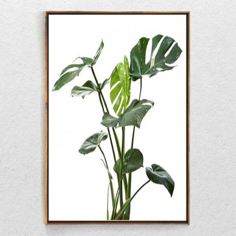 Quadro Decorativo Costela de Adão Moderno Com Moldura e Sem Vidro 90X140