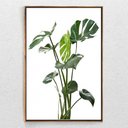 Ver imagem 1 de Quadro Decorativo Costela de Adão Moderno Com Moldura e Sem Vidro 90X140