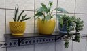 Ver imagem 1 de 1 Prateleira Preta Mdf 60cm X 22cm com Mão Francesa Estante Sala Porta Objetos
