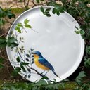 Ver mais imagens de Jogo de Pratos 18 Peças Bio Birdy Porto Brasil