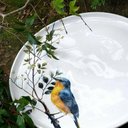 Ver imagem 7 de Jogo de Pratos 18 Peças Bio Birdy Porto Brasil