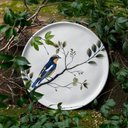 Ver imagem 6 de Jogo de Pratos 18 Peças Bio Birdy Porto Brasil