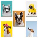 Ver imagem 1 de Kit 05 Placas Mdf Cachorros Fofos para Amantes de Pets Dc13