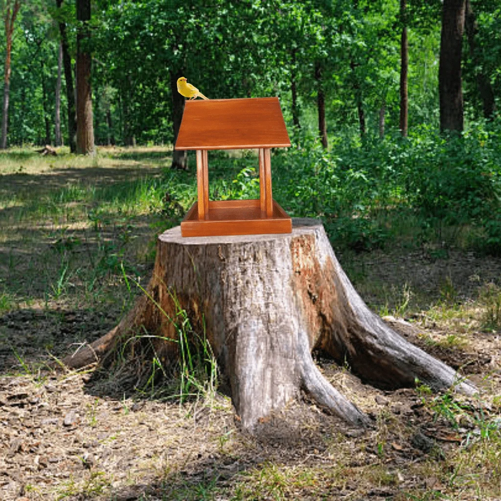 Comedouro Tratador Pássaros Livres Porta Ração Aves Verniz - 10