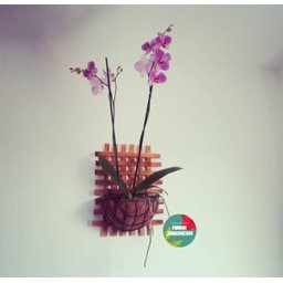 Treliça, Floreira, Jardim Vertical, Decoração de Parede T7 - 5