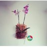 Treliça, Floreira, Jardim Vertical, Decoração de Parede T7 - 5