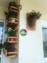 Ver imagem 3 de Treliça, Floreira, Jardim Vertical, Decoração de Parede T7