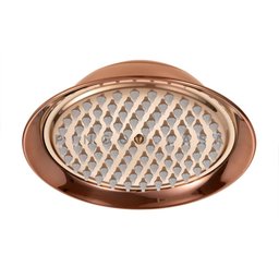 Ducha Chuveiro Redondo Retro Inox 20cm Coari Pingoo.casa - Dourado Rose - 4