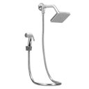 Ver imagem 1 de Chuveiro Ducha Flatt Quadrado Completo C/desviador Solar Gás