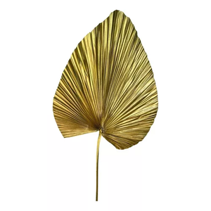 Folha de Latania Desidratada Dourada Decoração Arranjo Casa
