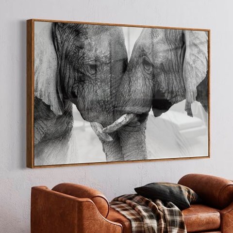 Quadro Decorativo Elefantes Se Encarando em Moldura Caixa Tacolado Moldura Trad 1cm Madeira Escura C