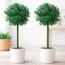 Ver imagem 1 de Bucho Buchinho Planta Artificial Decoração de 80cm Kit 2pçs