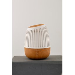 Difusor de Ambiente New Wood Hathas Drift - 3
