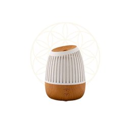Difusor de Ambiente New Wood Hathas Drift - 1