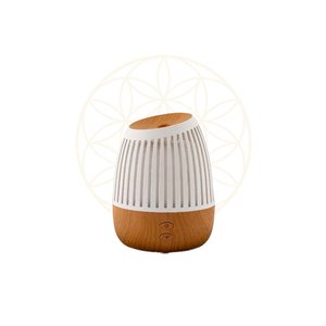 Difusor de Ambiente New Wood Hathas Drift
