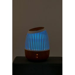 Difusor de Ambiente New Wood Hathas Drift - 6