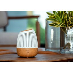 Difusor de Ambiente New Wood Hathas Drift - 2