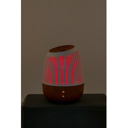 Difusor de Ambiente New Wood Hathas Drift - 5
