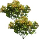 Ver imagem 1 de Kit 8 Plantas Kalanchoe Artificial Amarelo Flor Jardim 30cm