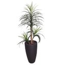 Ver imagem 1 de Árvore Artificial Yucca Toque Real com Vaso Vietnamita Preto