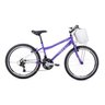 Bicicleta Aro244 Windy Com Cesta Houston  - 1