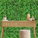 Ver imagem 5 de 23 Quadros de Planta Artificial Premium Revestimento Sofisticado em Área Gourmet, Paredes e Painéis