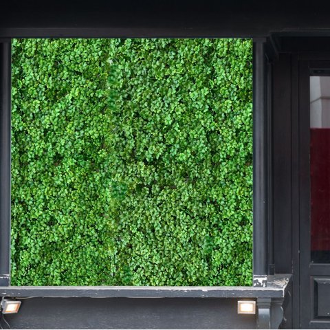 23 Quadros de Planta Artificial Premium Revestimento Sofisticado em Área Gourmet, Paredes e Painéis