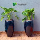 Ver imagem 6 de Suporte Alum. Invisível 40cm C/06 Rodas até 240kg Tech Plant