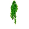 Pendente Avenca Verde Toque Real Verde 2 Tons 93 Galhos 84cm - 1