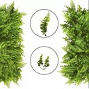 Ver imagem 6 de Kit 10 Placas Samambaia Eucalipto 40 X 60cm Muro Inglês