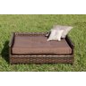 Cama Para Cão/gato Mamãe De Pet Fribra Espuma Macia Junco Tulipa Cama Pet - 1