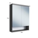 Ver imagem 3 de Armário Espelheira para Banheiro com 2 Portas e Iluminação LED Preto/Gafrite