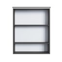 Ver imagem 4 de Armário Espelheira para Banheiro com 2 Portas e Iluminação LED Preto/Gafrite