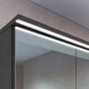 Ver imagem 6 de Armário Espelheira para Banheiro com 2 Portas e Iluminação LED Preto/Gafrite