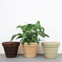 Ver imagem 1 de Vaso Antúrio 40 X 32 Cm