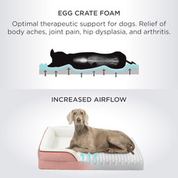 Bedsure Cama Ortopédica para Cães Grandes G Resa e Branca - 2