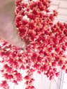 Ver imagem 2 de Planta Artificial Árvore LÍRIO ROSA VINTAGE com 1,60 metros de altura