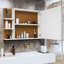 Ver imagem 2 de Espelheira Suspensa Armarinho para Banheiro Closet com Porta Prateleiras Nicho Organizador Iris - Br