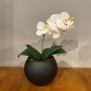 Ver imagem 3 de Orquídea Branca Artificial Arranjo no Vaso Preto Flores Permanentes