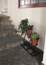 Ver imagem 4 de Floreira de Chão Artesanal Rústica para 3 Vasos de Flor