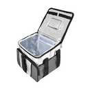 Ver imagem 2 de Ice Cooler Bolsa Térmica 36 Litros
