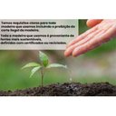 Ver mais imagens de Aparador Carrinho Chá 2 Gavetas